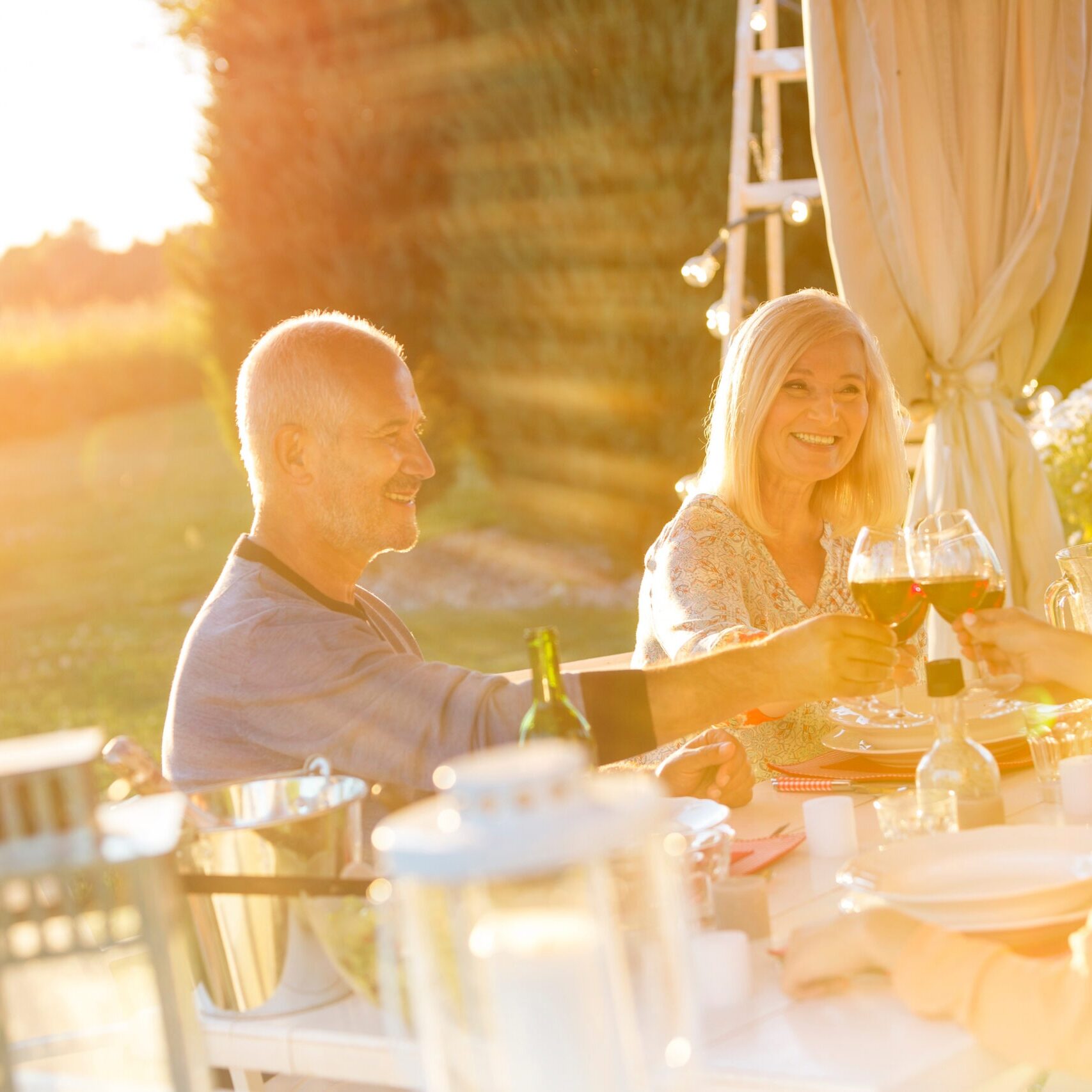 Senior couple an adult daughter toasting wine glasses at sunny patio table